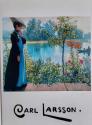 Billede af bogen Carl Larsson 1853-1919: Stiftelsen Modums Blaafarveværk, 6. mai -1. oktober 1989