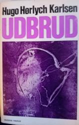Billede af bogen Udbrud - Afsøgning i litteratur og samfund 1968-1977 Bruuns Antikvariat
