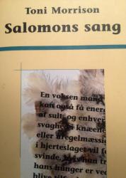 Billede af bogen Salomons sang **