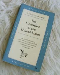 Billede af bogen The literature of the United States