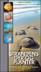 Billede af bogen Strandens Dyr og Planter