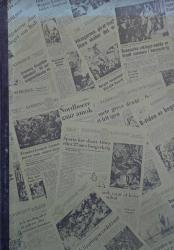 Billede af bogen Verdens Nyheder – verdens historie i dagblad-form
