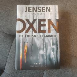 Billede af bogen De Frosne Flammer