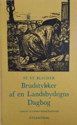 Billede af bogen Brudstykker af en Landsbydegns Dagbog