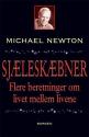 Billede af bogen Sjæleskæbner – Flere beretninger om livet mellem livene