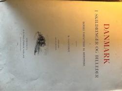 Billede af bogen Danmark i Skildringer og billeder