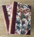 Billede af bogen Familien Annequin 1-5 i 2 bind