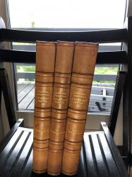 Billede af bogen DANMARKS OLDTID (3 bind)