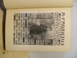Billede af bogen Fabricius Danmarks Historie Bind 1