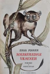 Billede af bogen Mærkværdige væsener 