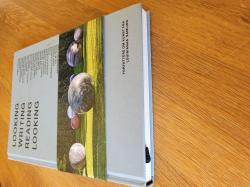 Billede af bogen Looking Writing Reading Looking