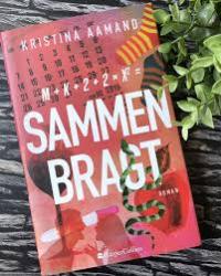 Billede af bogen Sammenbragt