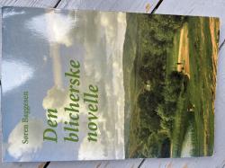 Billede af bogen Den blicherske novelle