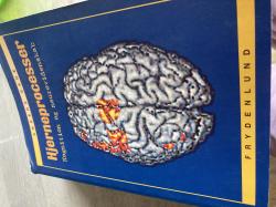 Billede af bogen Hjerneprocesser : kognition og neurovidenskab.