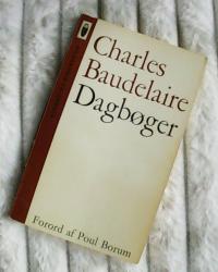 Billede af bogen Dagbøger