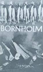 Billede af bogen Turistårbogen 1971 - Bornholm