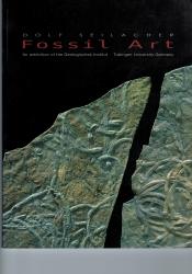 Billede af bogen Fossil Art