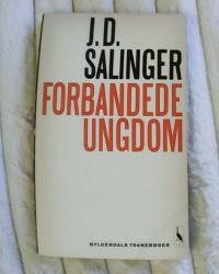 Billede af bogen Forbandede Ungdom