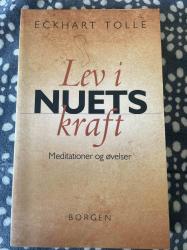 Billede af bogen Lev i nuets kraft