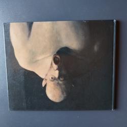 Billede af bogen Chorós. Malerier af Michael Kvium