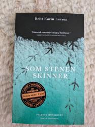 Billede af bogen Som stenen skinner