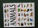 Billede af bogen Animals visual encyclopedia - more than 750 color illustarions