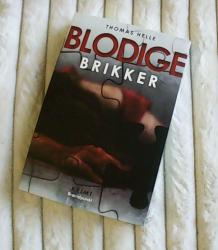Blodige brikker