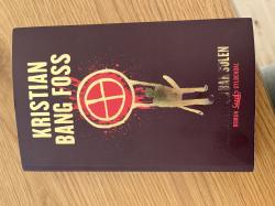 Billede af bogen Manden Der Bar Solen