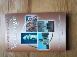 Billede af bogen Vejen vi går - Tolv kvinder om deres åndelige praksis Billede af bogen Vejen vi går - Tolv kvinder om deres åndelige praksis