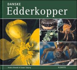 Billede af bogen Dansk Edderkopper