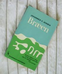 Billede af bogen Bræen - Myter om istiden og det første menneske Billede af bogen Bræen - Myter om istiden og det første menneske