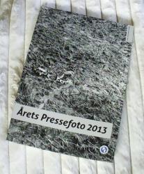 Billede af bogen Årets Pressefoto 2013