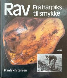Billede af bogen RAV Fra harpiks til smykke