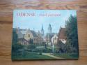 Billede af bogen Odense - træd varsomt
