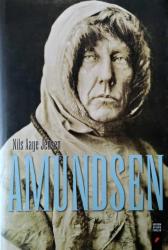 Billede af bogen Amundsen