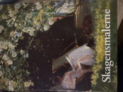 Billede af bogen Skagensmalerne