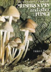 Billede af bogen The Wonderful World of Mushrooms and Other Fungi