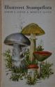 Billede af bogen Illustreret svampeflora