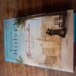 Billede af bogen Hjemkomsten