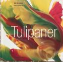 Billede af bogen Tulipaner  Billede af bogen Tulipaner