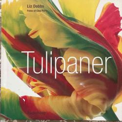 Tulipaner 