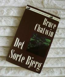 Billede af bogen Det sorte bjerg Billede af bogen Det sorte bjerg
