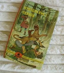 Billede af bogen Nybyggerne i Canada