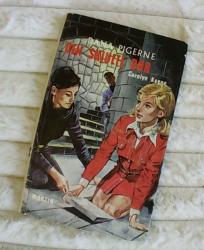 Billede af bogen Den skjulte dør