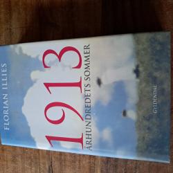Billede af bogen 1913 århundredes sommer Billede af bogen 1913 århundredes sommer