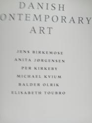 Billede af bogen Danish contemporary art Billede af bogen Danish contemporary art