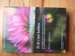 Et år i mit køkken