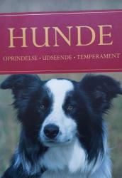 Billede af bogen Hunde – Oprindelse, udseende, temperament Billede af bogen Hunde – Oprindelse, udseende, temperament
