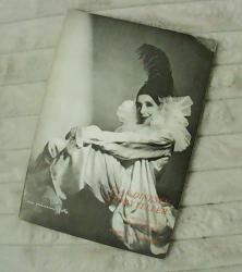 Billede af bogen Isak Dinesen, Storyteller Billede af bogen Isak Dinesen, Storyteller