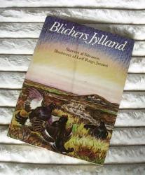 Billede af bogen Blichers Jylland